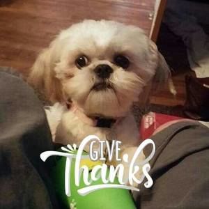 Meet your Posher, Cindy